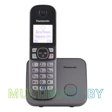 Радиотелефон Panasonic KX-TG6811RUM